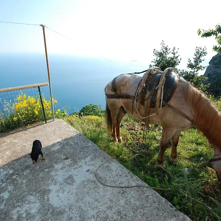 Path Of The Gods By Interhome * Pianillo